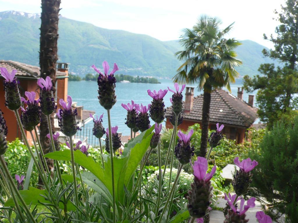 Apartamento Casa Eva Ronco sopra Ascona Exterior foto